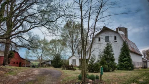 Farm house, on a dairy farm